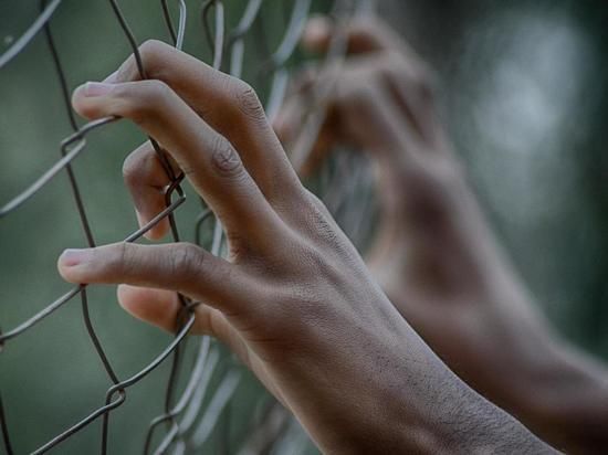 Заключённый из Тульской области, сбивший насмерть ребёнка, попросил заменить срок на участие в боевых действиях