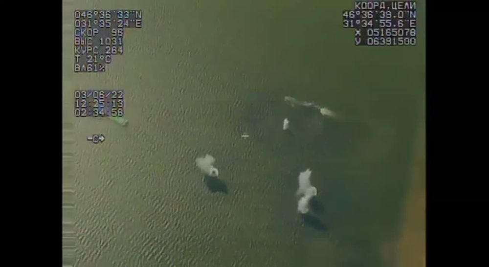 ���������� ������ �������� ����� ��������������� ������� "�������" � ������� ��������� ������� "���� ����������", ������������ �� ������-������� ���� ������