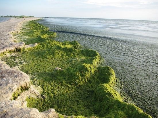 Источник: российские войска освободили Кинбурнскую косу в Николаевской области