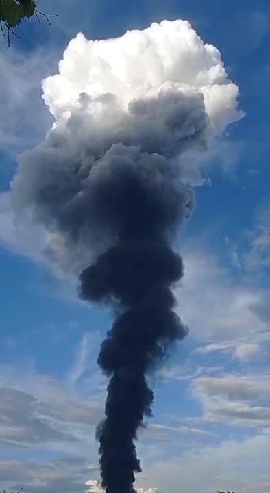 ����� ��������� ����� � ������������ ���������������� ������� ������ ���������� �����, � ������� "������"