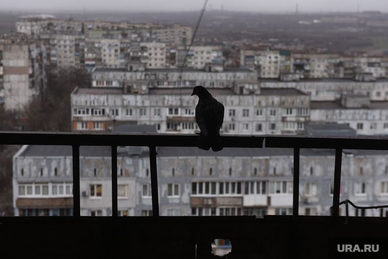 � ��� ��������, ��� �������� � ��������� ����� � ������������