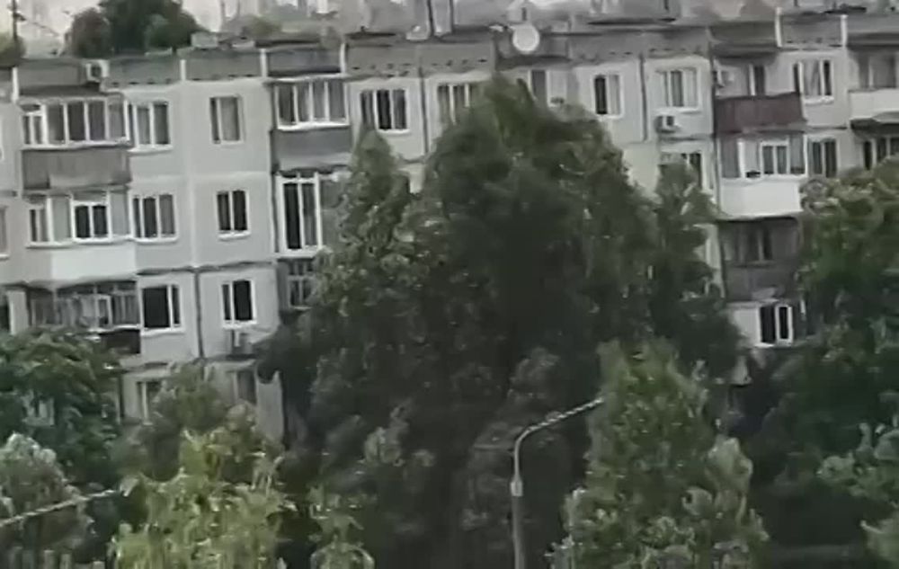 Владимир Рогов: Боевики Зеленского снова обстреляли Запорожскую АЭС и территории вблизи атомного объекта