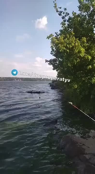 ���������� � ����������� ������ ���������������� �������, ����������������, ����� ������