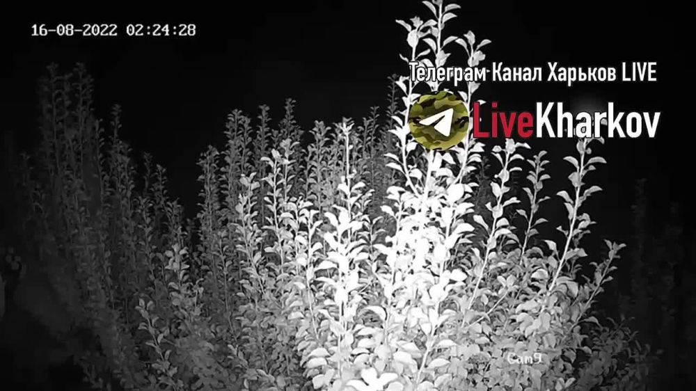 Хроника ударов и взаимных обстрелов в зоне СВО за ночь с 15 на 16 августа 2022 года