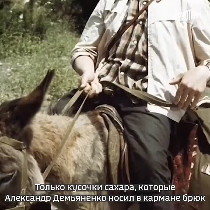 Поздравляем с Днем российского кино!