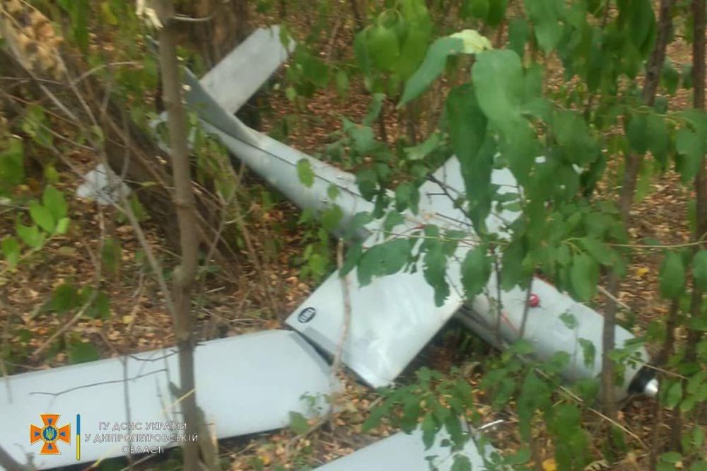 В Синельниковском районе Днепропетровской области упал российский разведывательный БПЛА «Орлан-10»