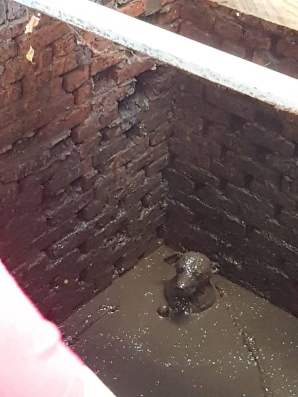 Это бедный дерьмодемон пёс, который провалился в выгребную яму. Но сейчас с ним уже все хорошо