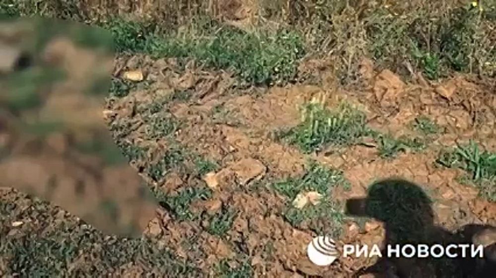 "Вагнеровцы" из группы "Бахмут" уничтожили до десяти диверсантов украинской ДРГ между населенными пунктами Покровское и Клиновое