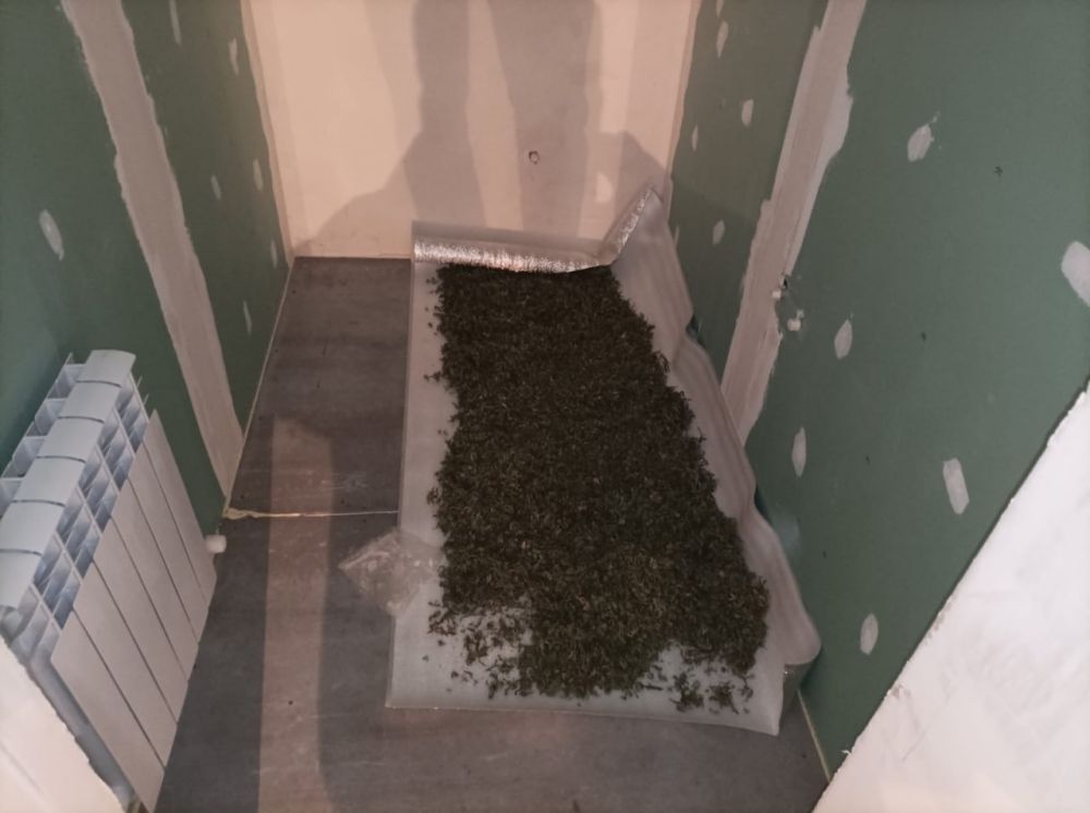 В Оренбургской области правоохранителями в посёлке Подгородняя Покровка был задержан 38-летний подозреваемый в изготовлении и попытке сбыта наркотиков