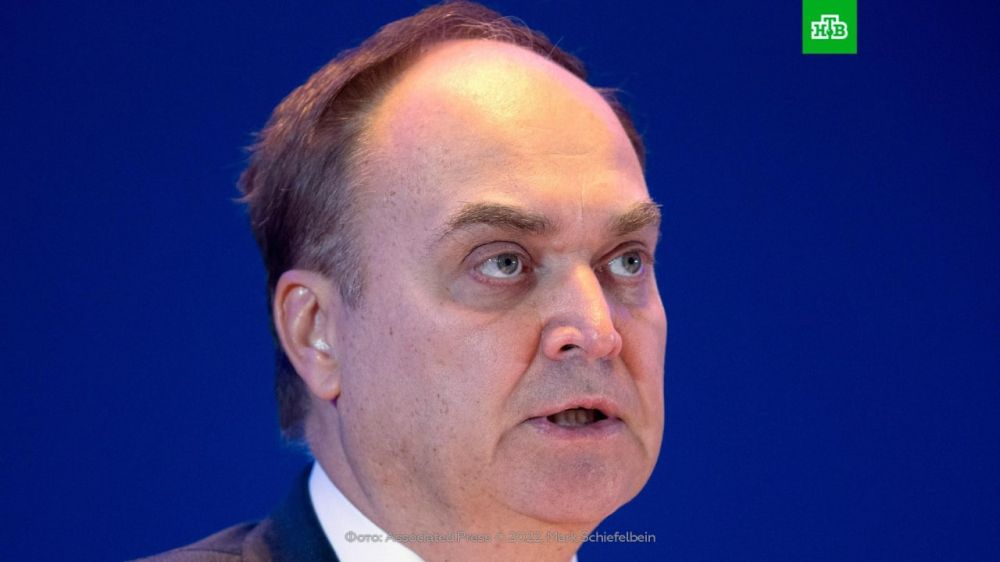 Российский посол Антонов заявил, что США ходят по краю пропасти, говоря о допустимости ударов западным оружием по ЛНР, ДНР, Запорожской и Херсонской областям: