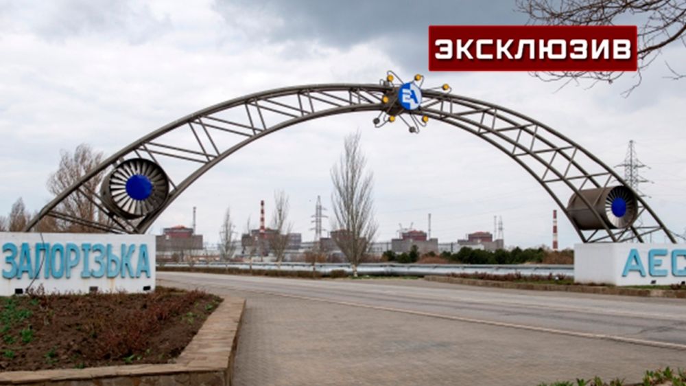 �����: ��� ��������� �������� ���� ��� ������ ������� ������������� ���