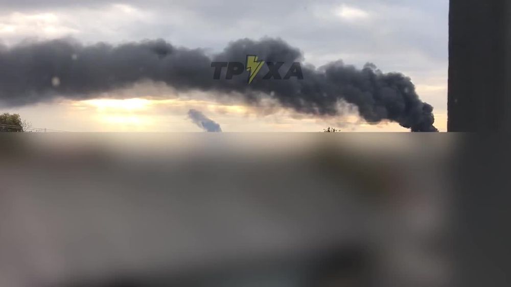 ����� �����: ����� ���������������� ������ � ��������� �������