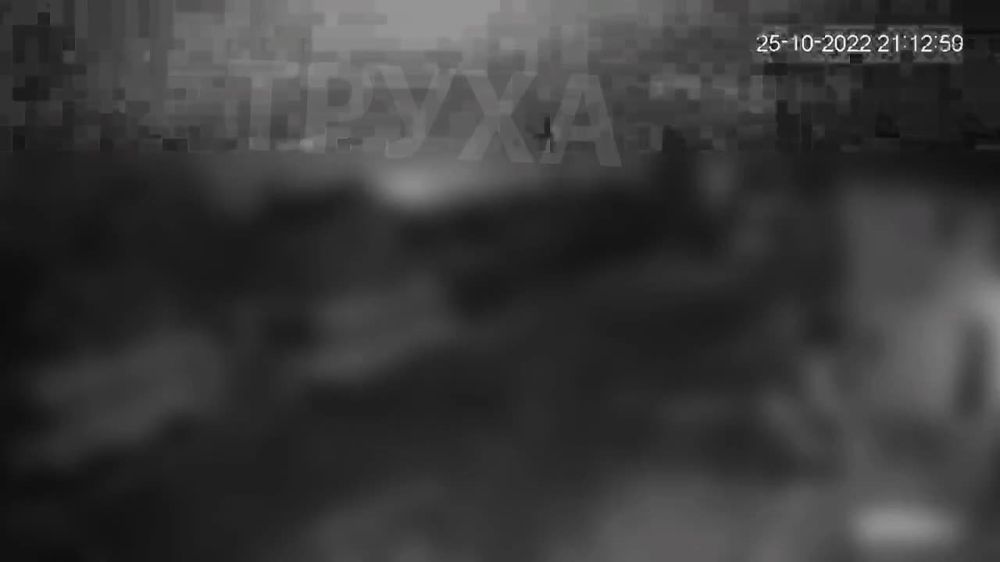 ����� �����: ���� �� �������� � ���������������