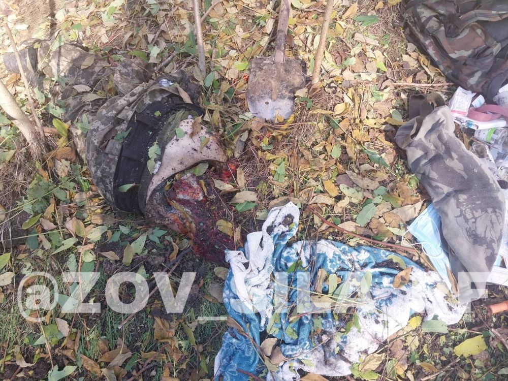 ����� �����: ������������ ��������� ������ ���������� ��� �� ����� ������� ������