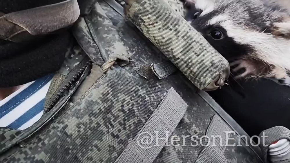 ������������ ����� � ������ ������ ������