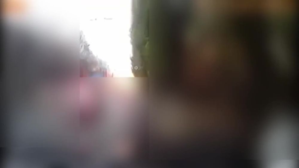 ����� �����: ���� �� �������� � ���������������