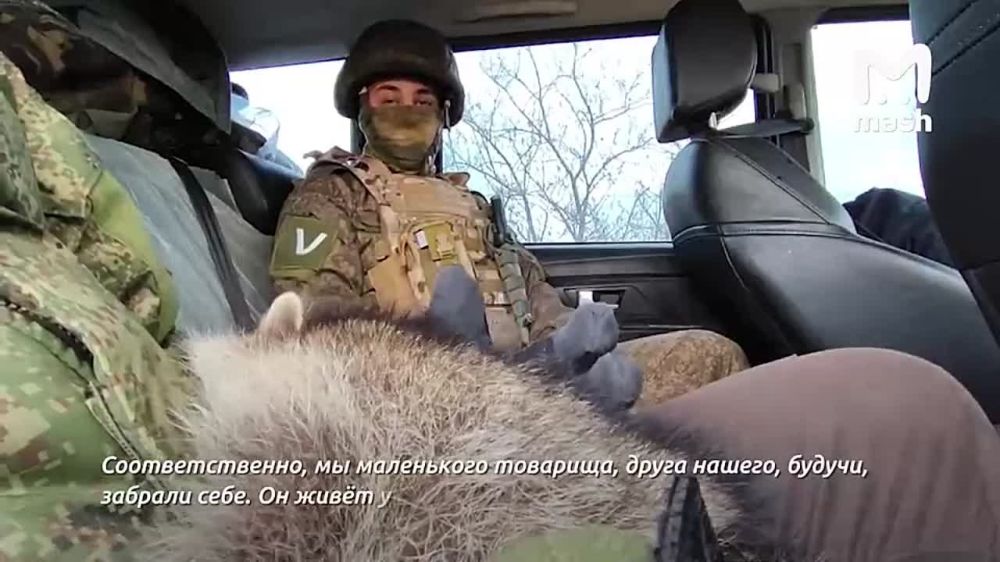 "����� �� �� �������. ���� ��������� � ����. ������ ����� �� ����, �����!"