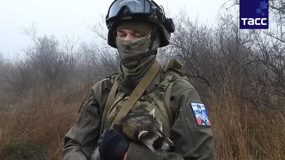 �������������� � ������ � ����� ��������� ���� � ����������� ����� �����