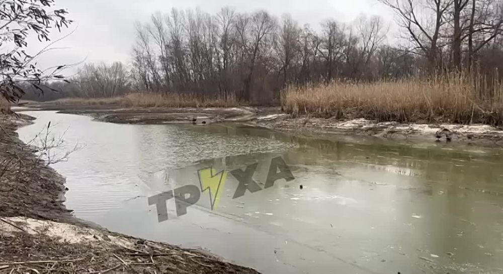 ����� ��������: ��� ������ ����� ������� �� �������� ������