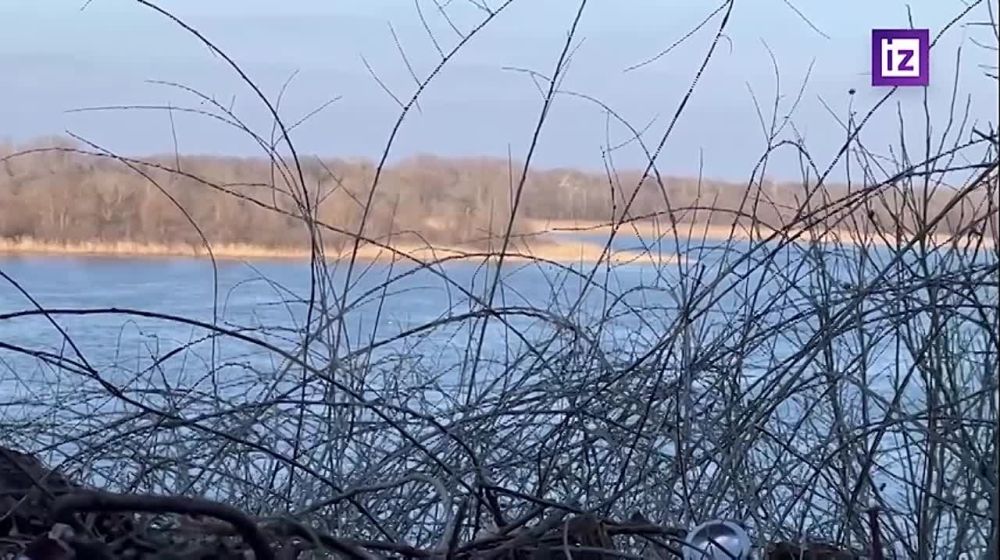 ��������� ��������. �� ���������� ����������� �� �� �������� ������� ��� ������������� �� ����� ����� ������ ��� �������...