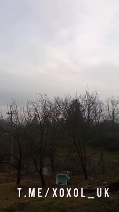 ����� �����: ���������� ��������� �������� � ������ ��� � �������� ������� � � ������� � ����������������, ������������ � �������� ��������