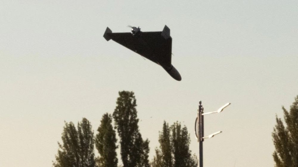 ���� ��������: ���� �� ����� ���������� ������������ ������ "����������" ���������� � ���� ��������