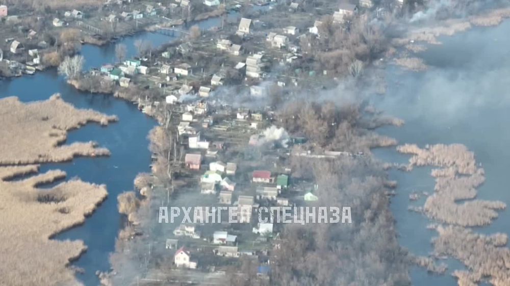 ����� �����: ����� ���, ������������ ������� � ��������� ��� ���������� �� ������� �� ������