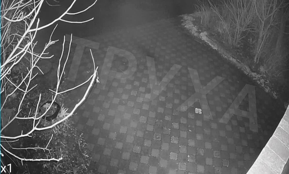 Хроника ударов и взаимных обстрелов в зоне СВО за ночь с 19 на 20 февраля 2023 года