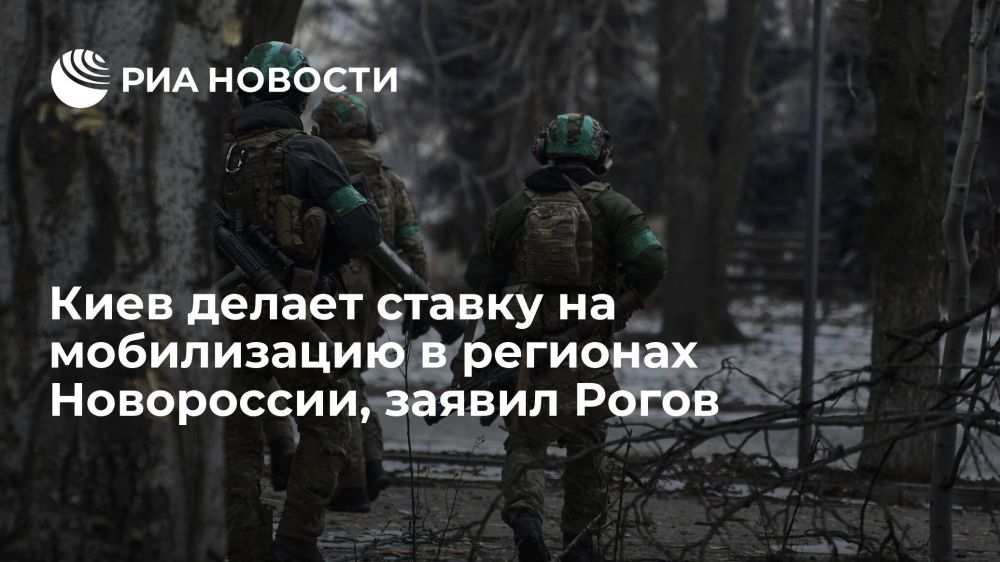Владимир Рогов: Киев делает ставку на мобилизацию в регионах Новороссии