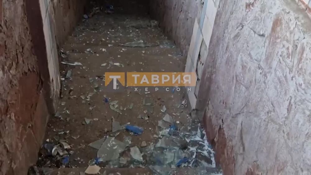 Александр Малькевич: Последние сводки «фронта» из Херсонской области — под обстрел попали журналисты