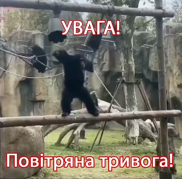 ������ �������: � ������ 404 ��������� ��������� ������� � ����������, �����������, ����������������, ������� ��������