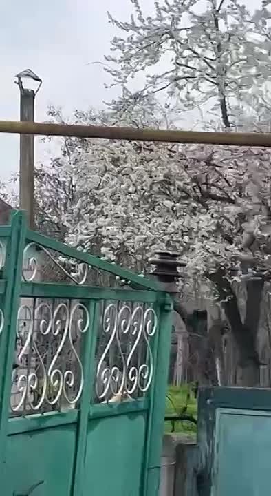 Александр Малькевич: Последние сводки с фронта из Херсонской области