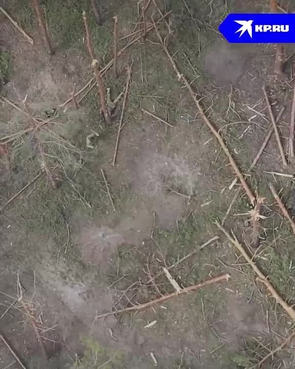 Откровения пленных бойцов ВСУ: Киев приносит в жертву необученных солдат, пытаясь выиграть время для контрнаступления