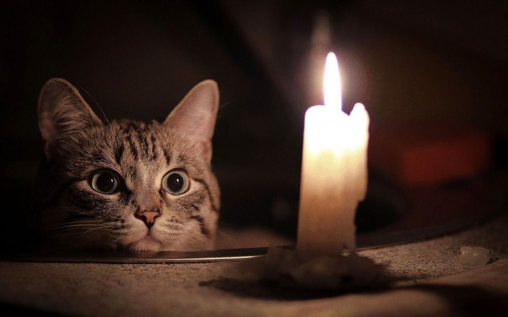 ���������� �������������� (17.04.23):