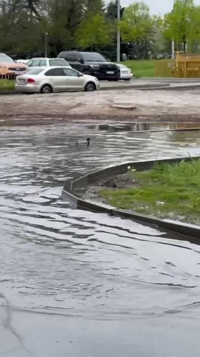 �� ��� ������, ��� ����� ������� ���������� ��������������, �������� �� �������