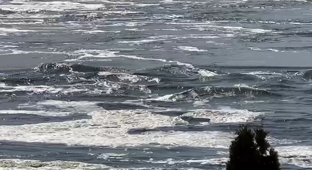 ������� ���� � ��������� ������������� �������� �� ����������� �������, ������� ������������� �������� ��� ������ � ������� �������� �����