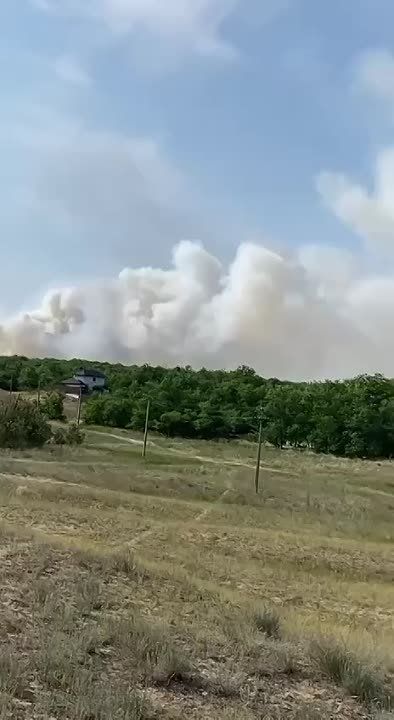 Александр Коц: Сегодня украинские паблики зубоскалят на тему пожаров на левом берегу Днепра