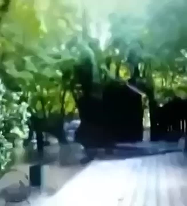 �������� ����� �� �������� �� �����..