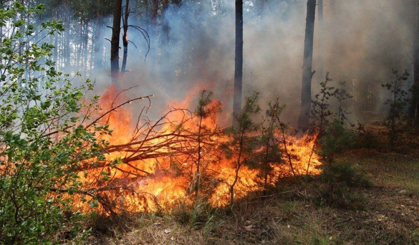 � ����������� ���������������� ������� ����� �������