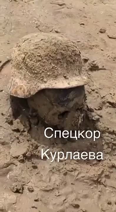 Ольга Курлаева: Все же не фейк. Под Никополем после схода воды обнаружены останки предположительно немецких солдат