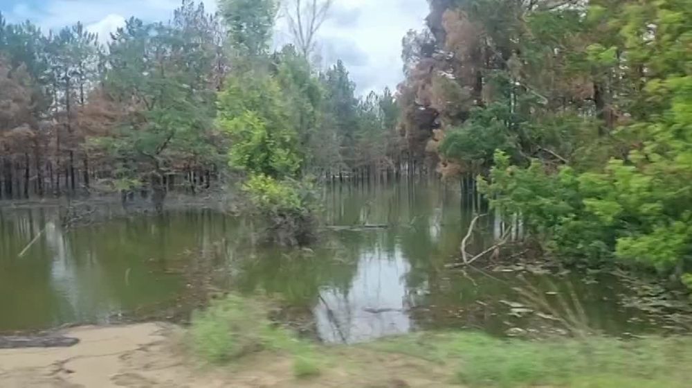 ����� ���������: �� ������ ������ ������, �� � ��� ���������� ������� ����� ����� ��������