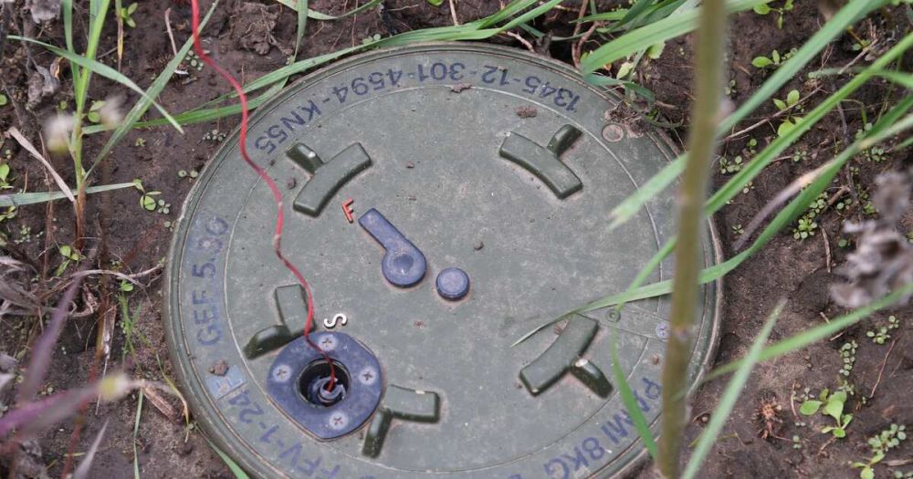 �����: ���������� �������� ���� ��� � ������� ������ ������