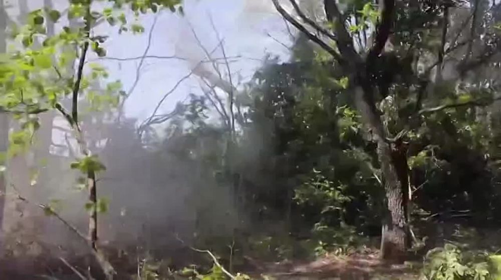 � ������� ����� ��� ������������� ����������� ������� ����������� �� �������� � ������-��������� ������������