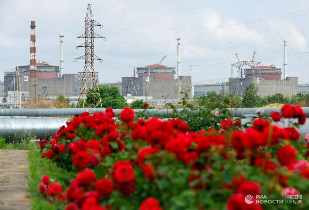 �� ���� �� ������� ���������� ������������� ����