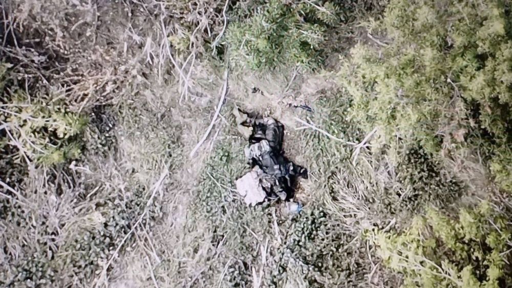 ���������� �� ����������� ����������� �� 10:00