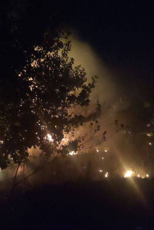 ������ ������ � ������������� ����� ���������������� �������