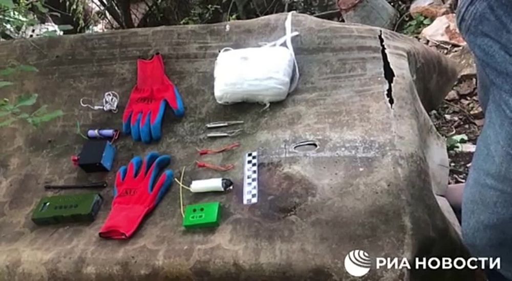 ����� �����: ��� ��������� ����� � �������� ���������� ������������ � �����