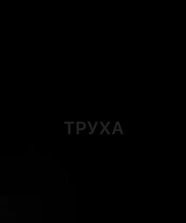 Олег Царёв: ВС РФ снова запускали Герани