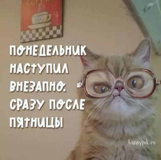 Доброе утро, друзья!. К основным новостям: ВС РФ нанесли удар крылатыми ракетами и дронами-камикадзе «Герань» по ряду целей на Украине — в Хмельницкой, Днепропетровской и Одесской областях