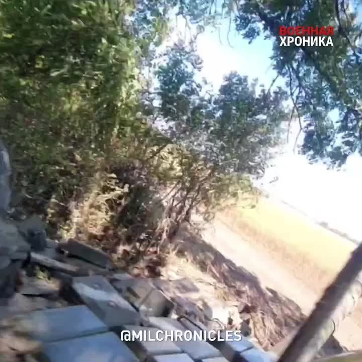 ���������� � ��������� �� 24 ��������